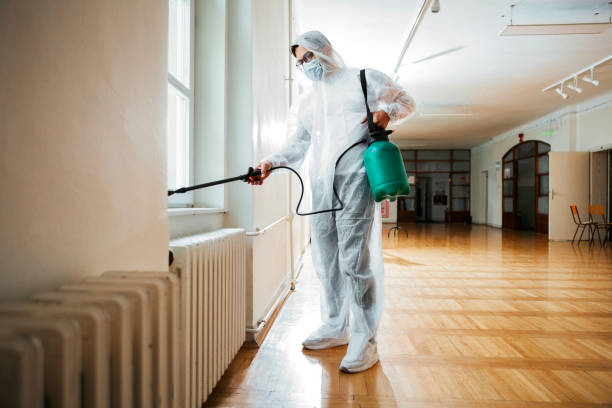 Best Pest Removal Services  in Junction City, OR